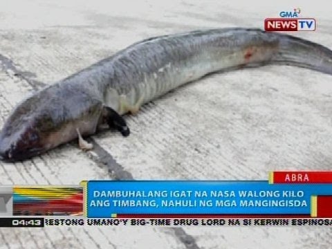 Hindi nawawala ang timbang nang walang carbohydrates litrato Mawalan ng timbang sa sanatoriums suburbs