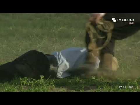 La Criolla por TV Ciudad - Internacional Pelo -  Jesús González