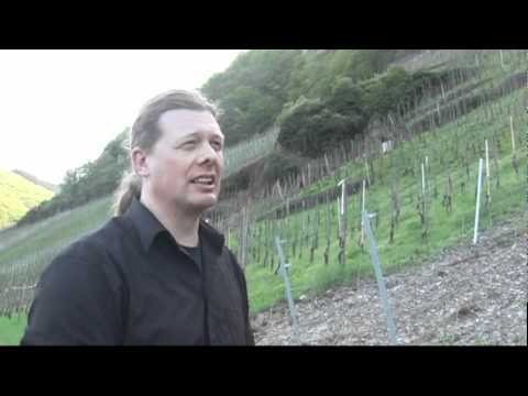 Weingut Thorsten Melsheimer