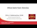 African Swine Fever Overview