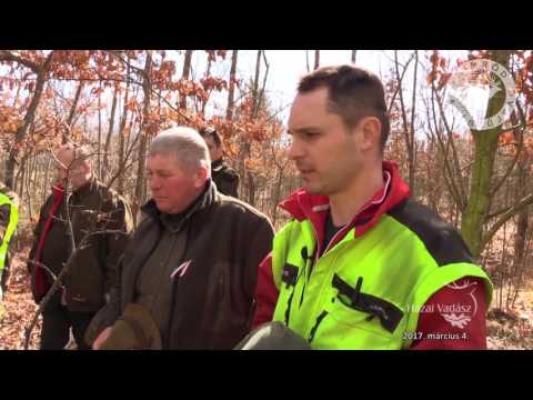 28. KASZÓ KUPA – Országos Véreb Fővizsga - 152. adás - 2017.03.04-i adás