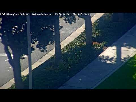 Live webcam of Disneyland Cam