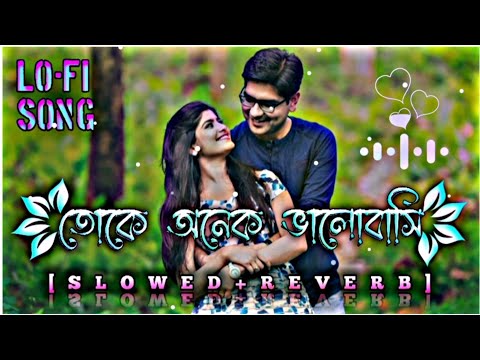 toke onek valobasi || তোকে অনেক ভালোবাসি || [ slowed reverb ] || Bangla song 🎧 #trending_song #viral