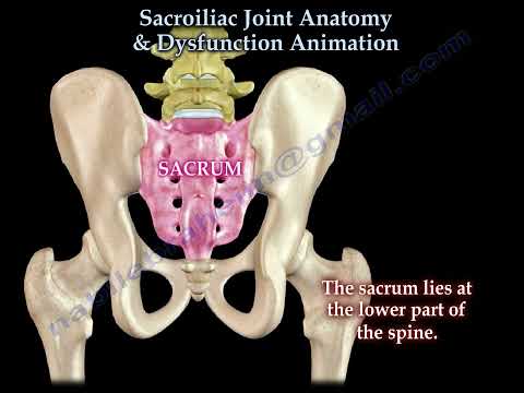 Sacroiliac Joint Dysfunction Anatomy,  Animation