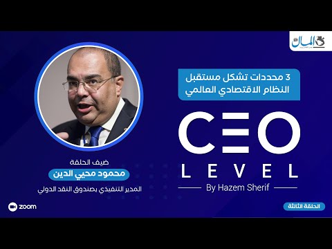 د.محمود محيي الدين المدير التنفيذي بصندوق النقد الدولي يجيب من واشنطن على الأسئلة الكبرى | CEO Level