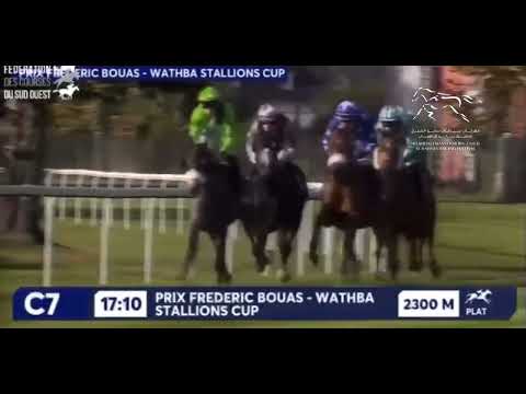 PREMIO WATHBA STALLIONS CUP - GALCIA RACECOURSE  |  12/10/2024