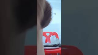 Download lagu Bigo Live Periscope #periscope #live #girlthailand #Cutegirl #สาวน่ารัก 💕 mp3 Download lagu Bigo Live Periscope #periscope #live #girlthailand #Cutegirl #สาวน่ารัก 💕 mp3