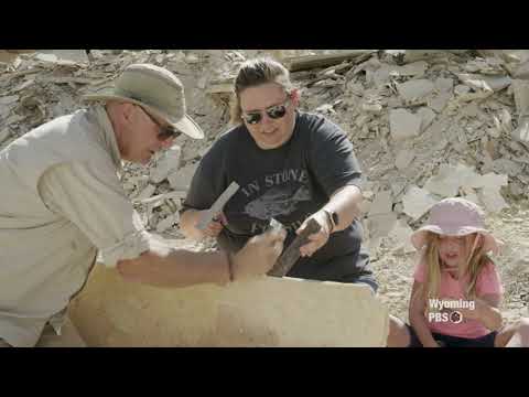 Fossil Country