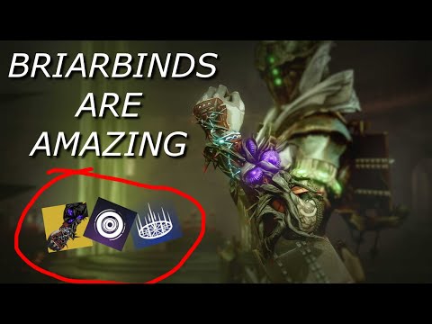 Literally Infinite Voids Souls!!.......(Briarbinds Warlock Build}