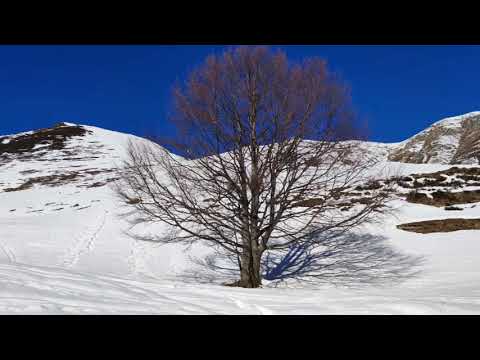 2025   02   15   Fontana Mura MT  1726