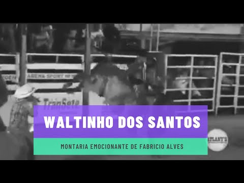 MONTARIA EMOCIONANTE DE FABRÍCIO ALVES