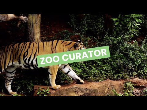 Zoo curator video 1