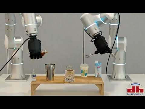 DH-5-6 Dexterous Hand Review Video 1