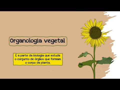 Organologia Vegetal - Botânica - Biologia