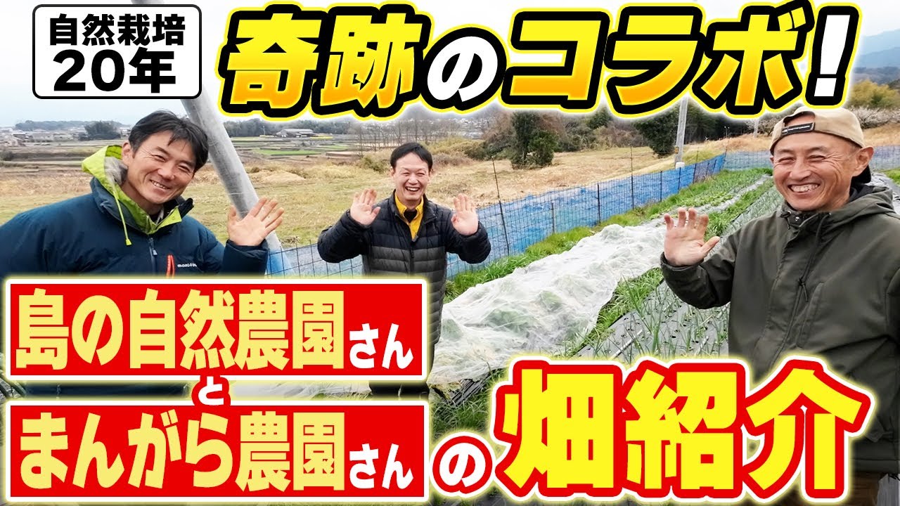 島の自然農園とまんがら農園に学ぶ、無肥料栽培の土作りと連続収穫の知恵