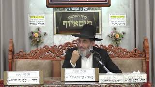 הרב פנחס רז | הלכה והשקפה | בית הכנסת מוסאיוף (בית הכנסת מוסאיוף) - התמונה מוצגת ישירות מתוך אתר האינטרנט יוטיוב. זכויות היוצרים בתמונה שייכות ליוצרה. קישור קרדיט למקור התוכן נמצא בתוך דף הסרטון הרב פנחס רז | הלכה והשקפה | בית הכנסת מוסאיוף (בית הכנסת מוסאיוף) - התמונה מוצגת ישירות מתוך אתר האינטרנט יוטיוב. זכויות היוצרים בתמונה שייכות ליוצרה. קישור קרדיט למקור התוכן נמצא בתוך דף הסרטון