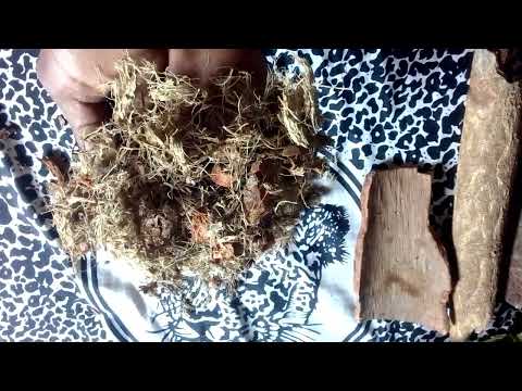 BUYISA INHLANHLA YAKHO /ISIDALWA  