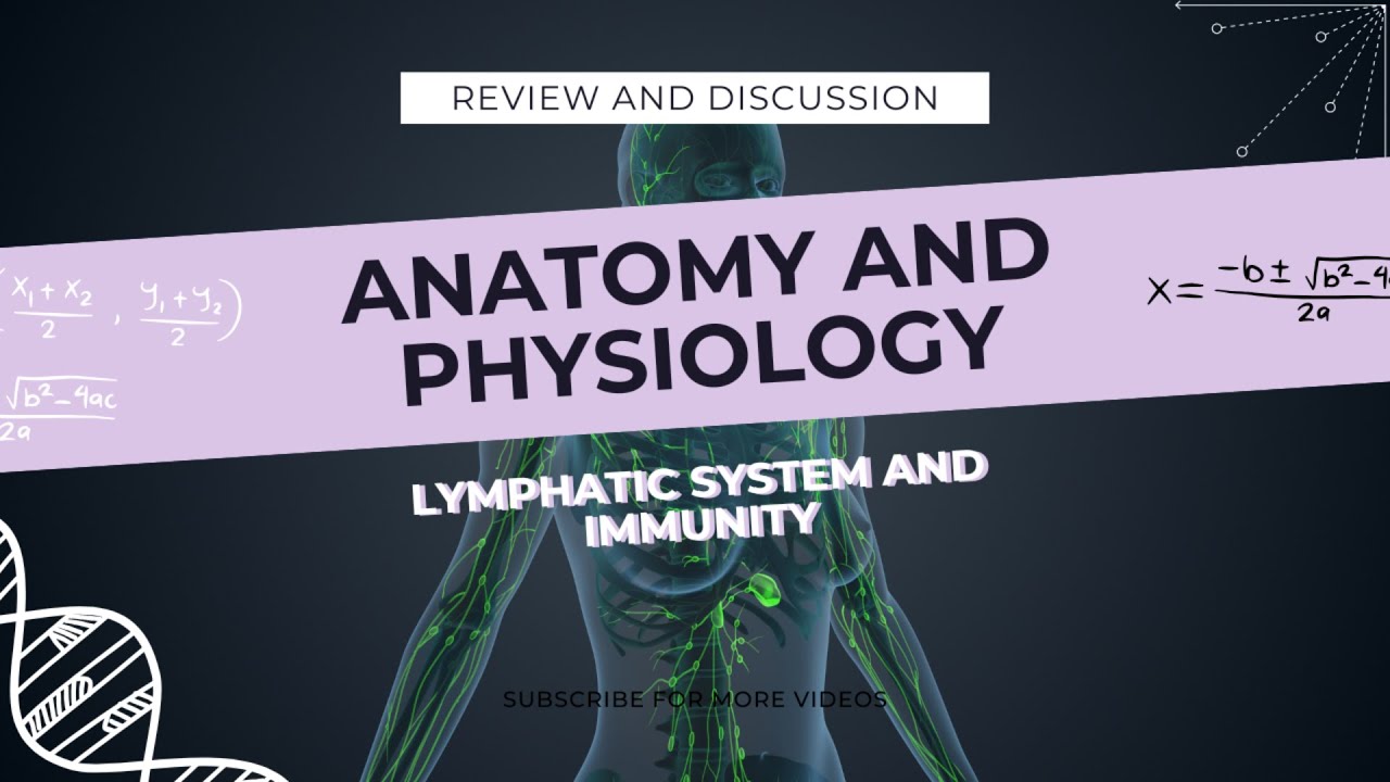 LYMPHATIC SYSTEM AND IMMUNITY CRASH COURSE LECTURE (NO PPT)
