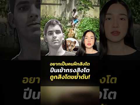สยอง! หนุ่มบราซิลอยากเป็นคนฝึกสิงโต ปีนเข้ากรงสิงโต ถูกสิงโตขย้ำดับ