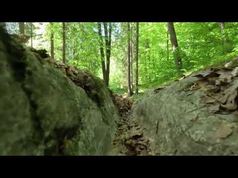 Vom Maibachl zur Burgruine Federaun & retour