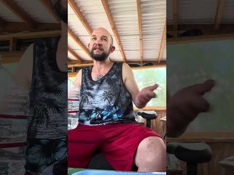 My thoughts on the war