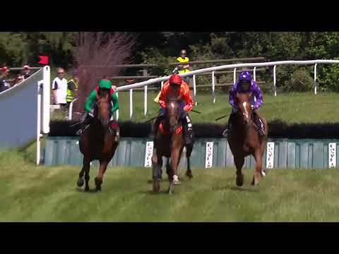 2019.06.15 Svenskt Champion Hurdle - Leierspielerin