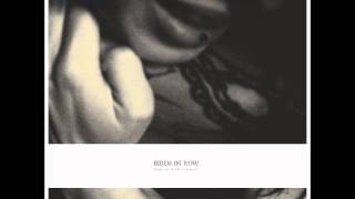 Birds In Row - The Illusionist