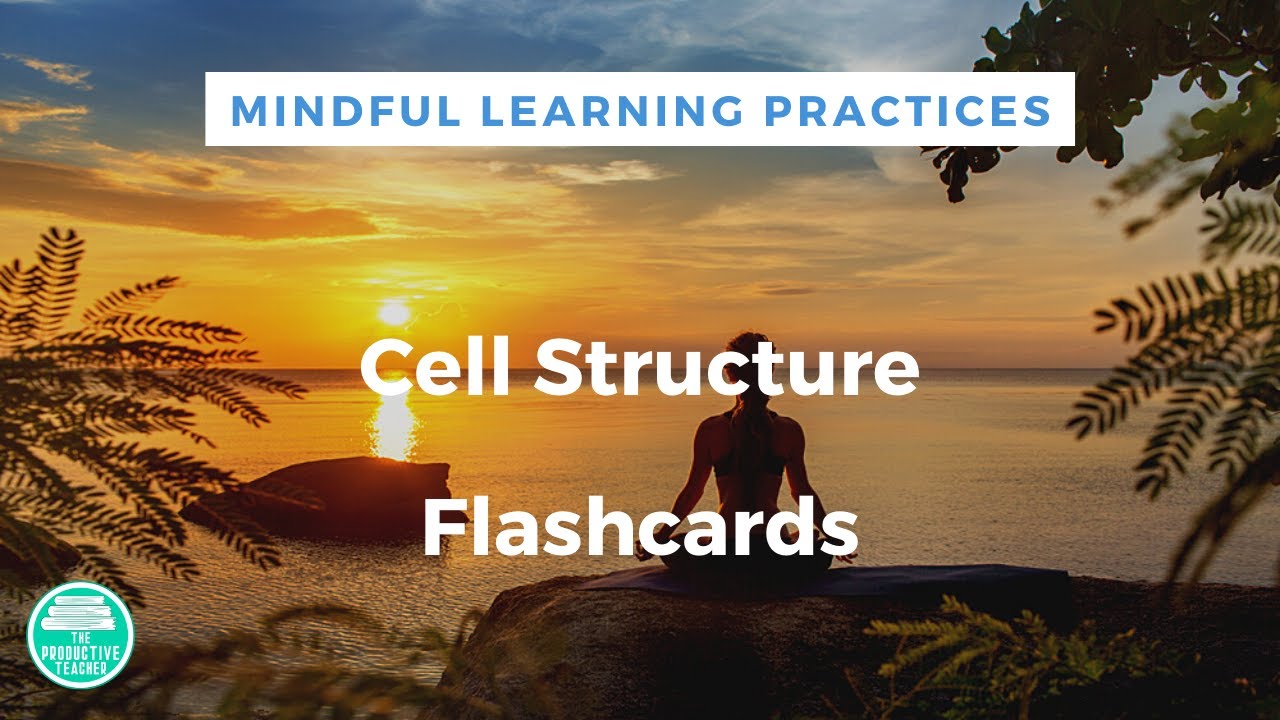 Cell Structures Digital Flashcards