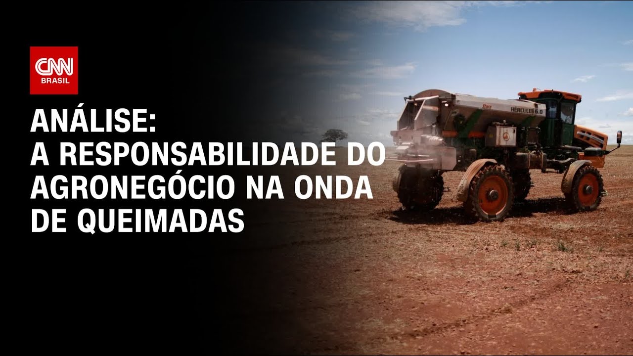 Análise: A responsabilidade do agronegócio na onda de queimadas | WW