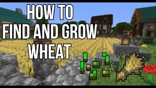 How to: Farm Wheat and What to do with it | Minecraft Survival for Beginners 2021
