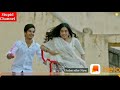 New Rajasthani Holi WhatsApp Status Video 2019 MARWADI DJ VIDEO