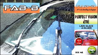 Lave-Glace concentré écologique 100ml = 10 litres !