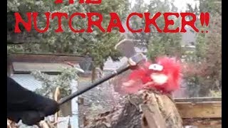 testing the nutcracker