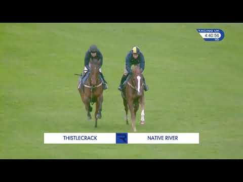 Native River and Thistlecrack shape up for the Betfair Chase with a gallop at Exeter Racecourse