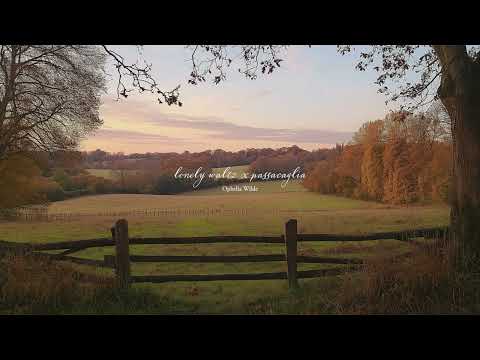 a playlist for a quiet morning 🍂🐈💨 (autumn version)