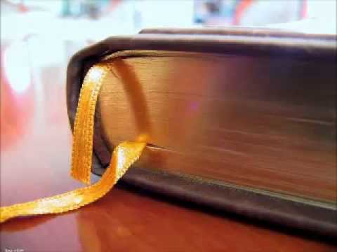 Bibel, Das Erste Buch Mose, Genesis, Kapitel 016 020