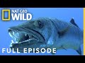 Underwater Killers (Full Episode) | World's Deadliest