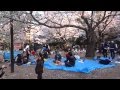 Сакура-ханами 2015 в парке Йойоги.Токио (2часть) 