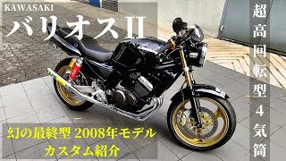 【モトブログ】バリオス2のカスタム紹介【RPM 67Racing】【セパハン】【塗装】