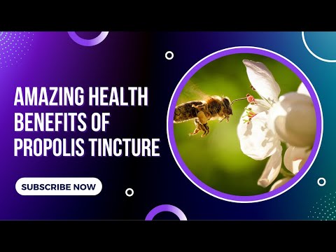 Amazing Health Benefits Of Propolis Tincture