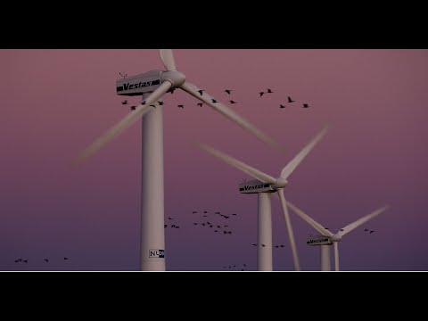 Barmbek Basch (in Dein Mund)