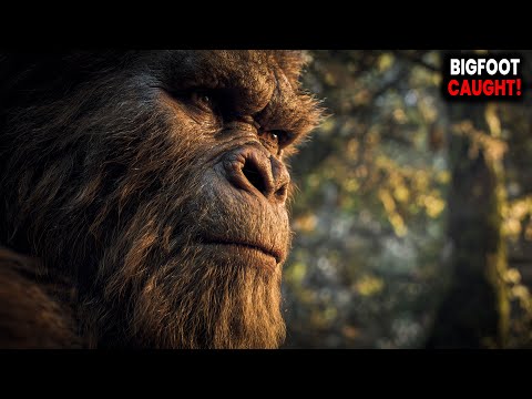 Terrifying Bigfoot Encounter in the Woods — Full Clip Released