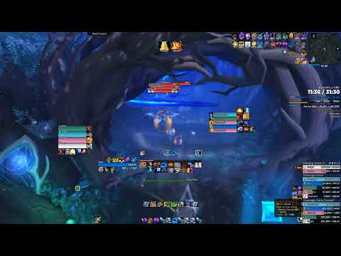 Stormbringer Enhancement Shaman DPS POV Mists of Tirna Scithe Mythic +13 | Fortified Tyrannical  S1