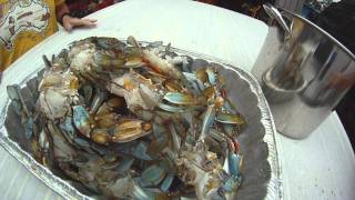 preview picture of video 'BLUE CRABS.wmv'