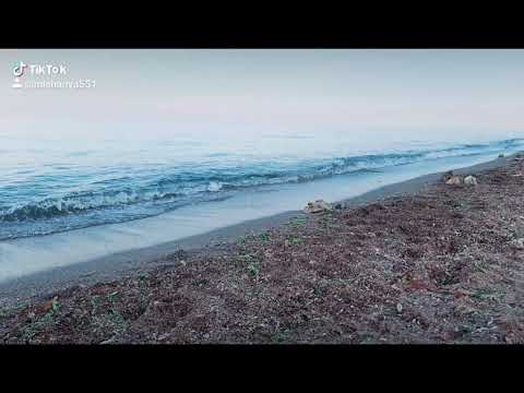 Bahh  Tee & HammAli & Navai