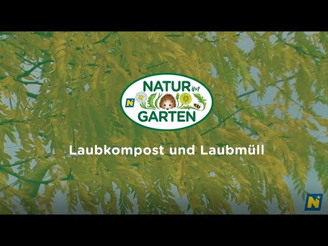 Laubkompost und Laubmüll