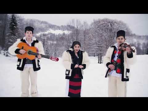 Maria Ionela Tamas - Ce Craciun aveam odata