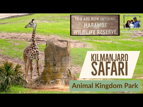 DISNEY'S Kilmanjaro Safari Attraction ANIMAL KINGDOM THEME PARK