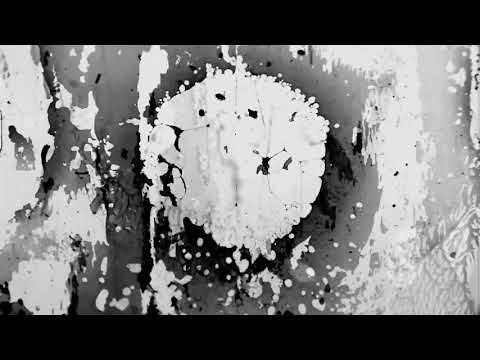 Willaris. K -  Cobaki Sky (Prequel) [Official Video]