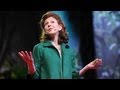 How to spot a liar - Pamela Meyer 